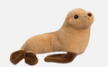 Douglas Bark Sea Lion