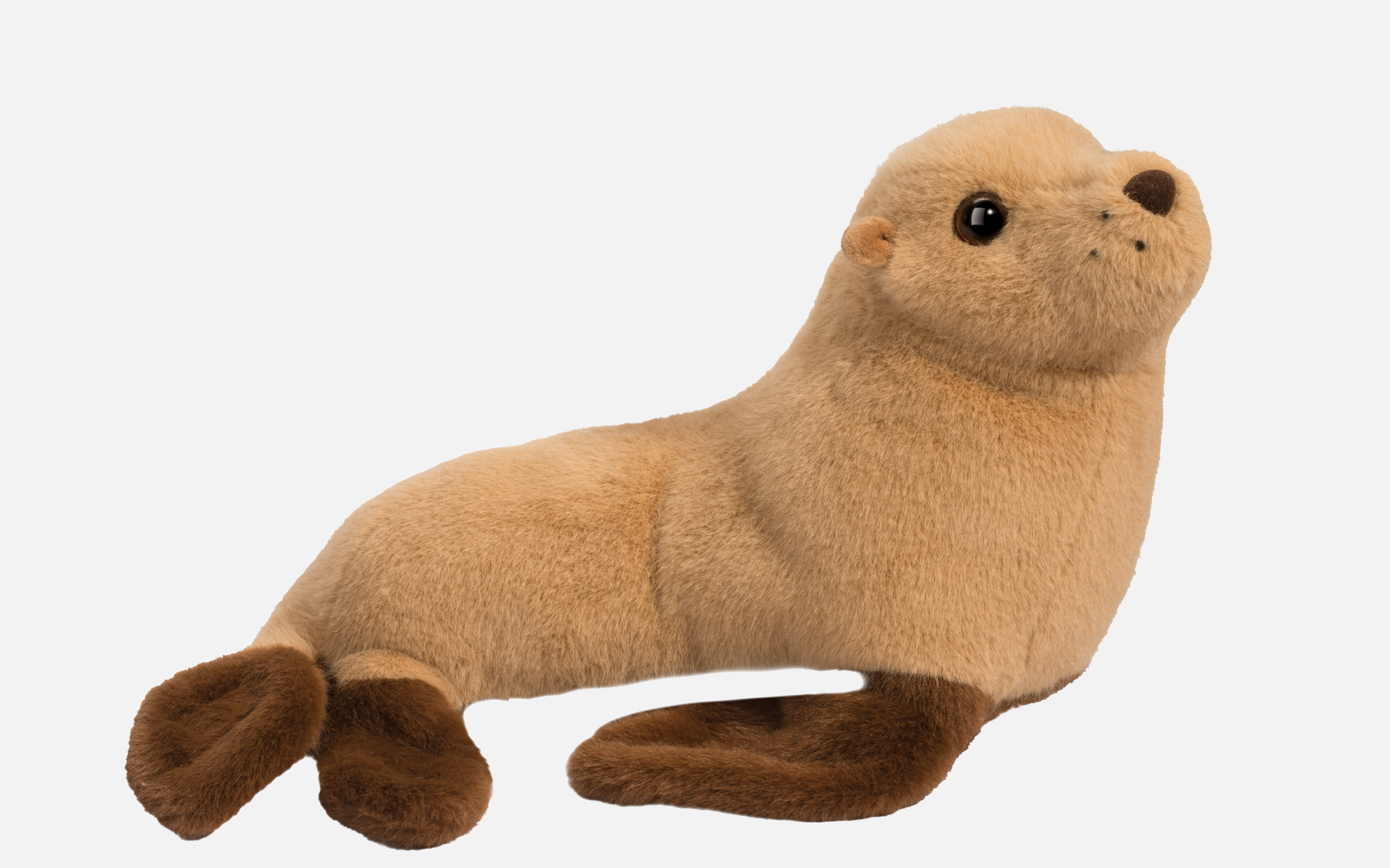 Douglas Bark Sea Lion
