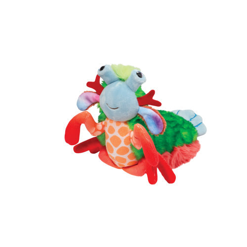 Douglas Punchie Mantis Shrimp