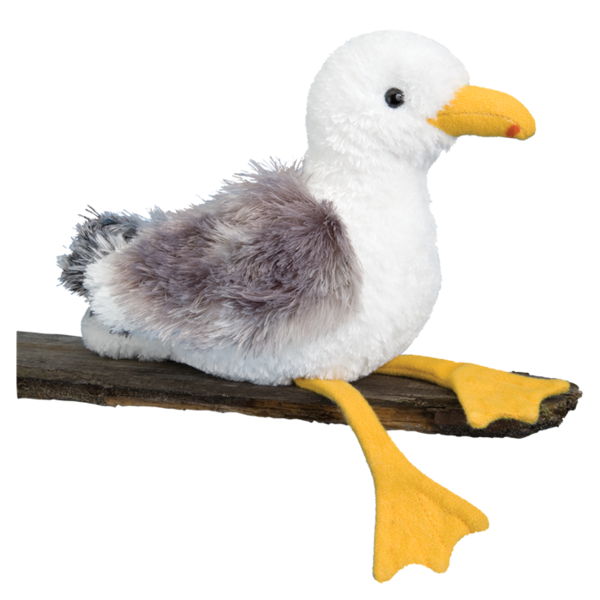 Douglas Seymour Seagull 8"