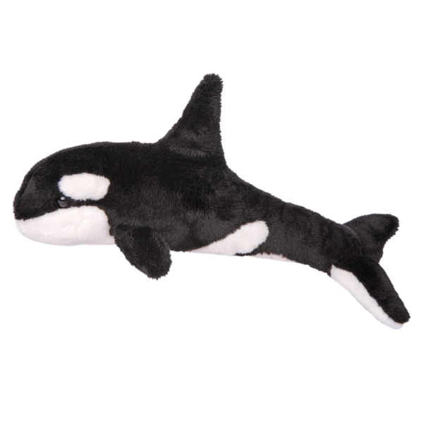 Douglas Spout Orca Whale 13"
