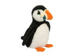 Douglas Diver Puffin